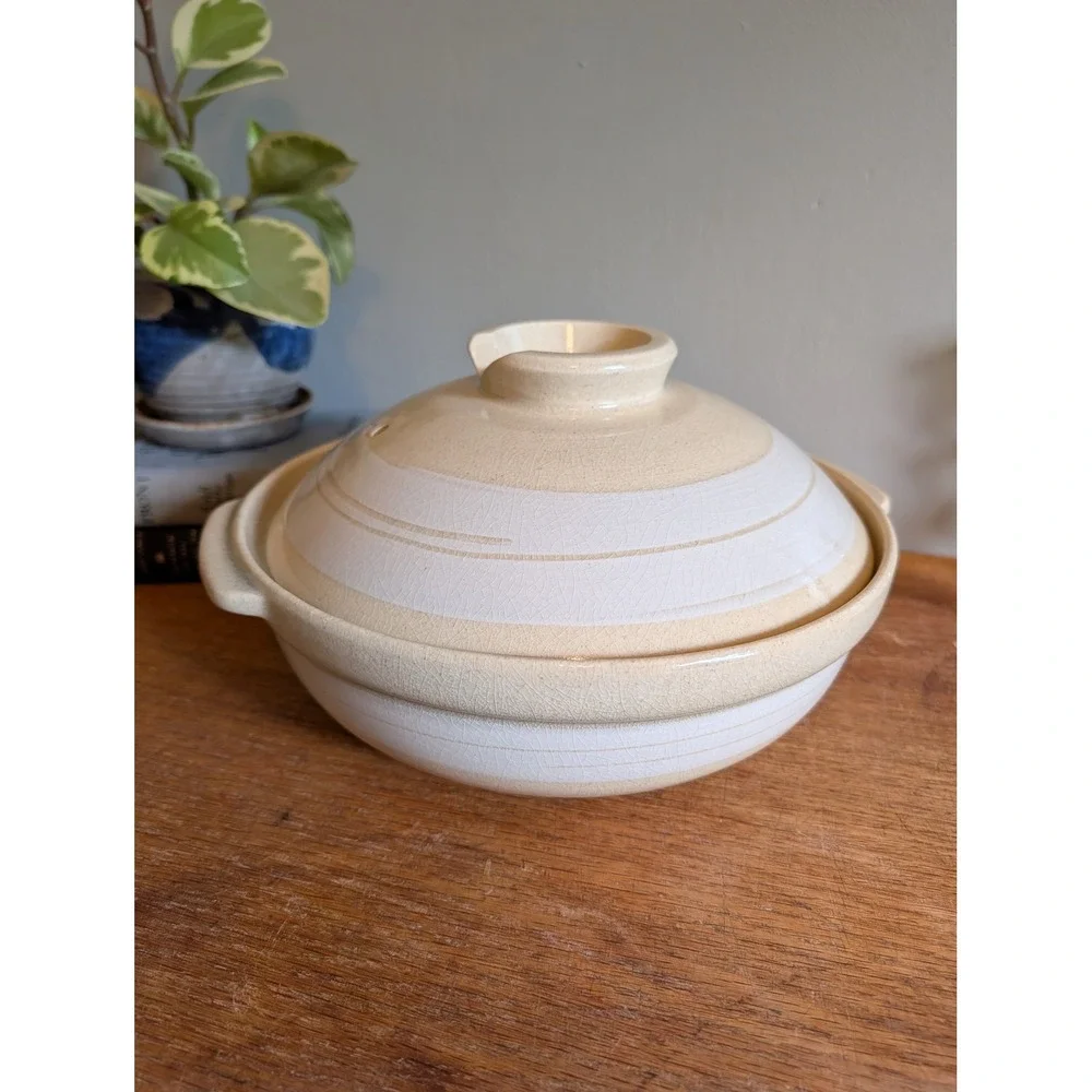 Karunabe Japanese Donabe Earthenware Pot Lightweight Clay Cookware 27–28cm Japan